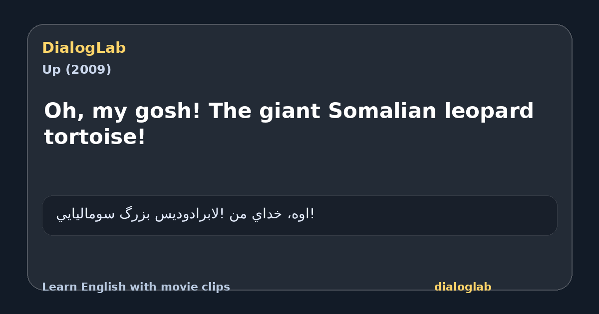 Share card for Oh, my gosh! The giant Somalian leopard tortoise!