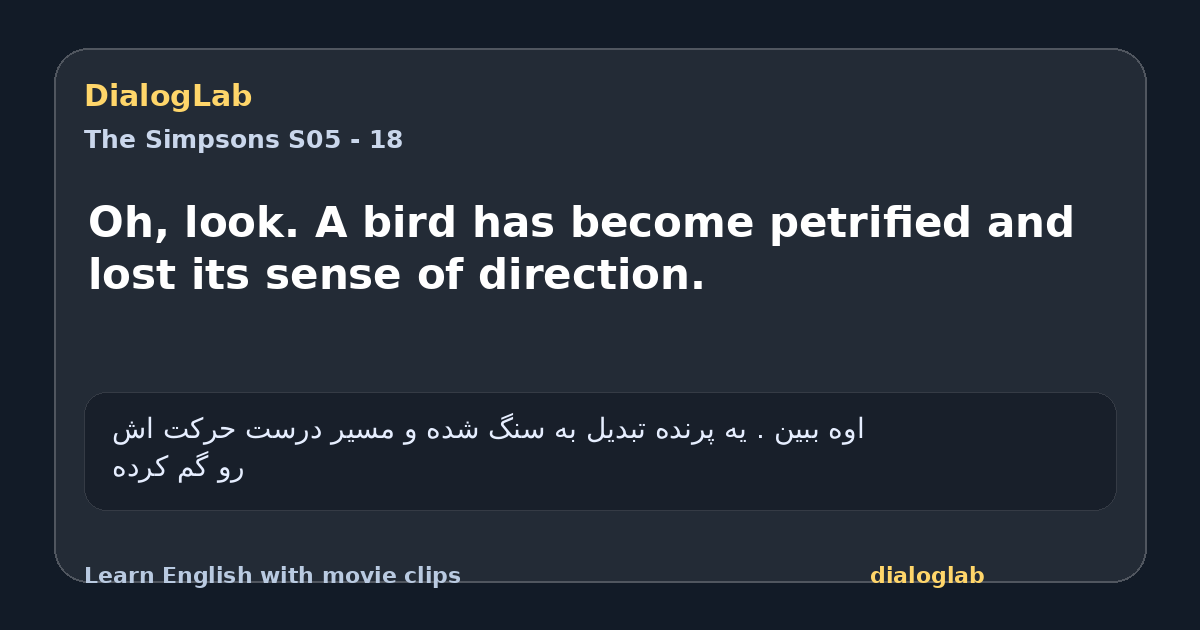 Share card for Oh, look. A bird has become petrified and lost its sense of direction.