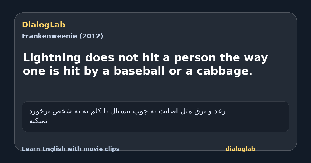 Share card for Lightning does not hit a person the way one is hit by a baseball or a cabbage.