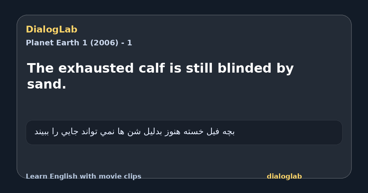 Share card for The exhausted calf is still blinded by sand.