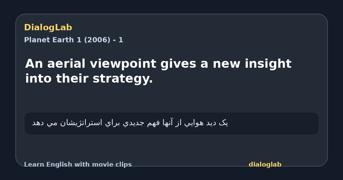 Share card for An aerial viewpoint gives a new insight into their strategy.