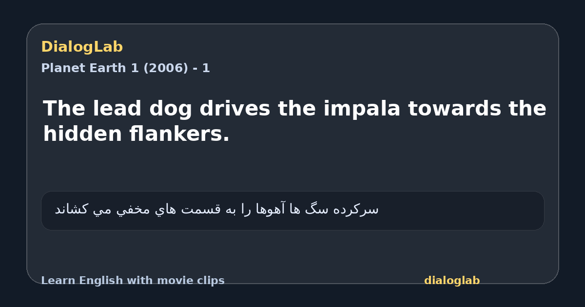 Share card for The lead dog drives the impala towards the hidden flankers.