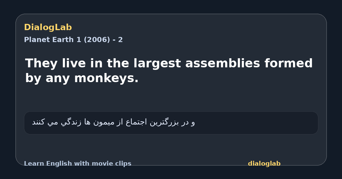 Share card for They live in the largest assemblies formed by any monkeys.