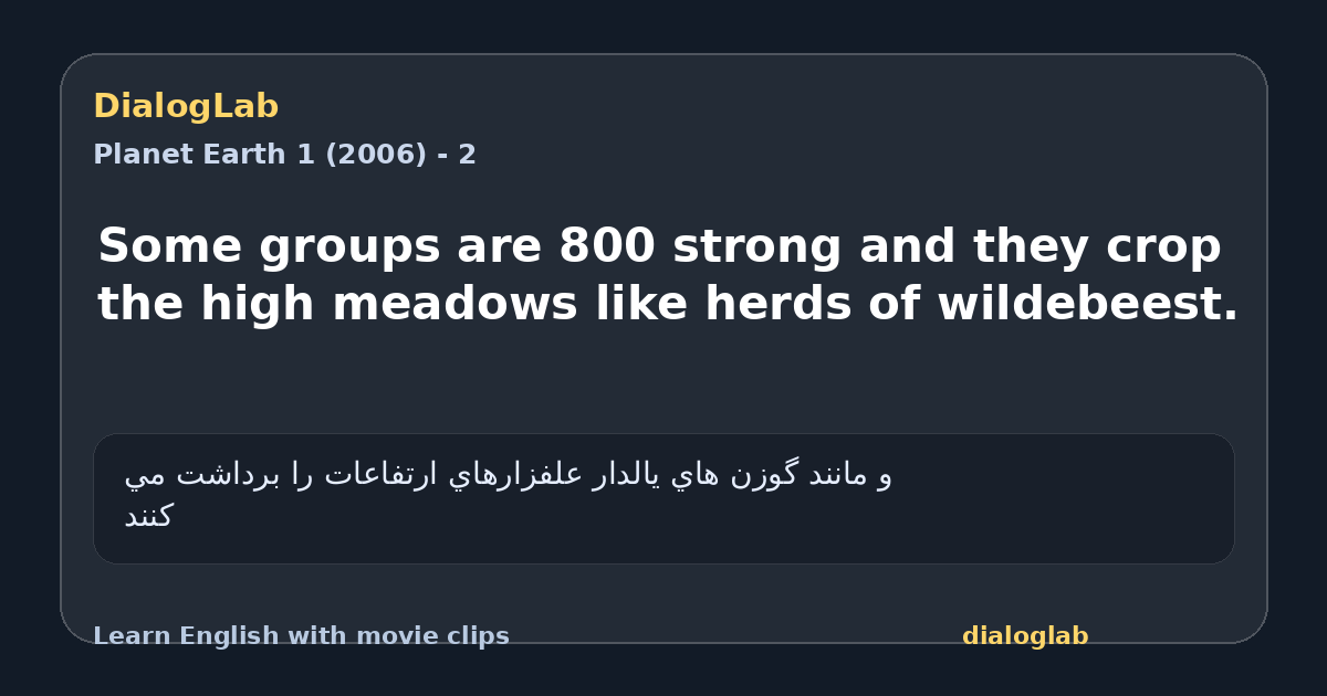 Share card for Some groups are 800 strong and they crop the high meadows like herds of wildebeest.