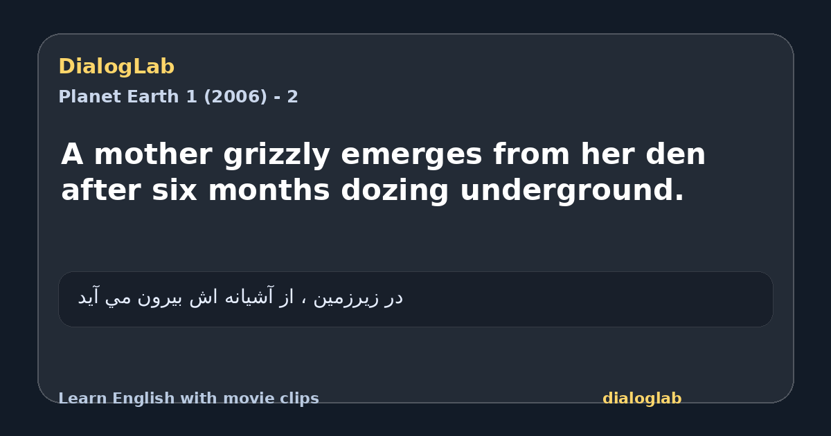 Share card for A mother grizzly emerges from her den after six months dozing underground.