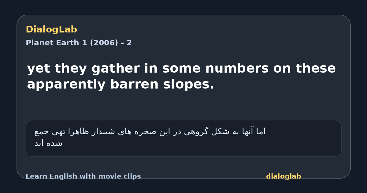 Share card for yet they gather in some numbers on these apparently barren slopes.