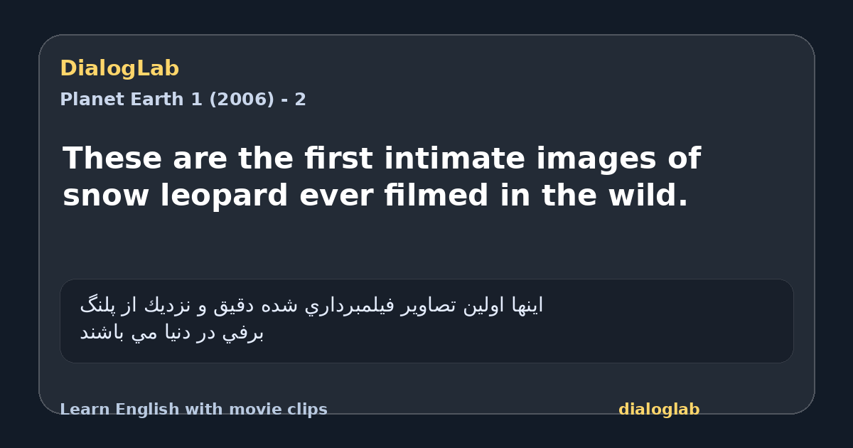 Share card for These are the first intimate images of snow leopard ever filmed in the wild.