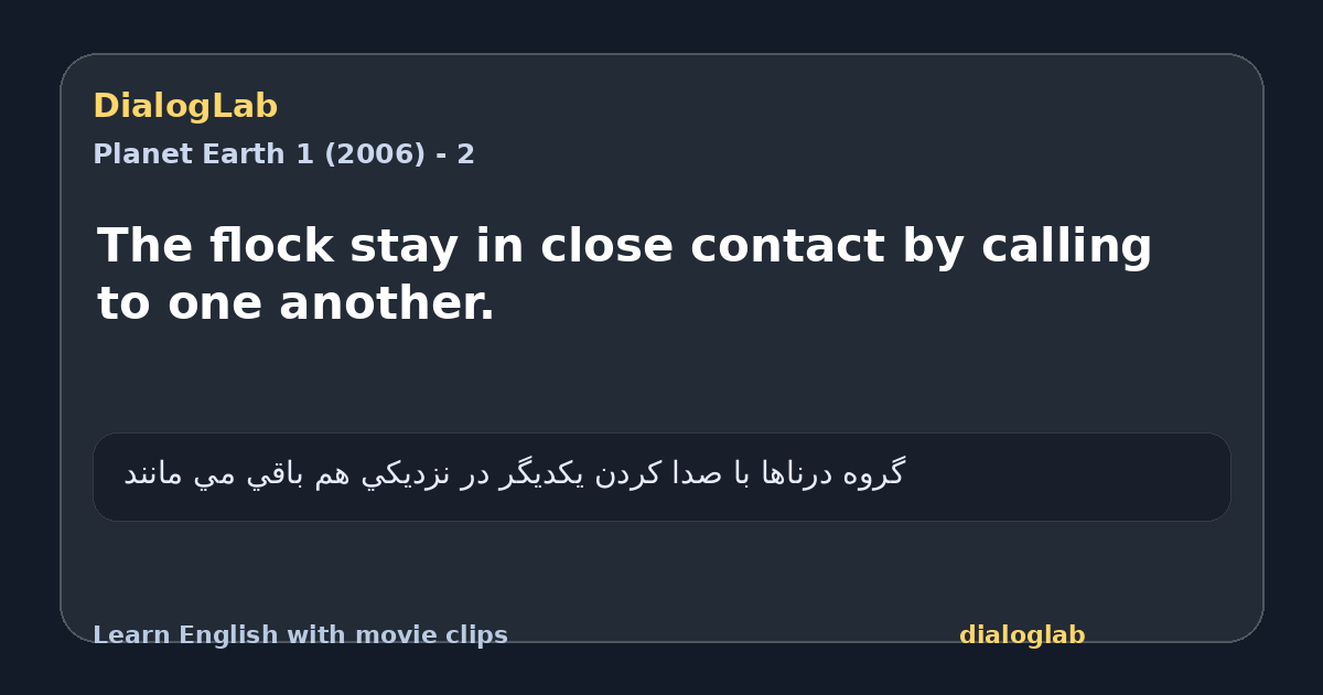 Share card for The flock stay in close contact by calling to one another.