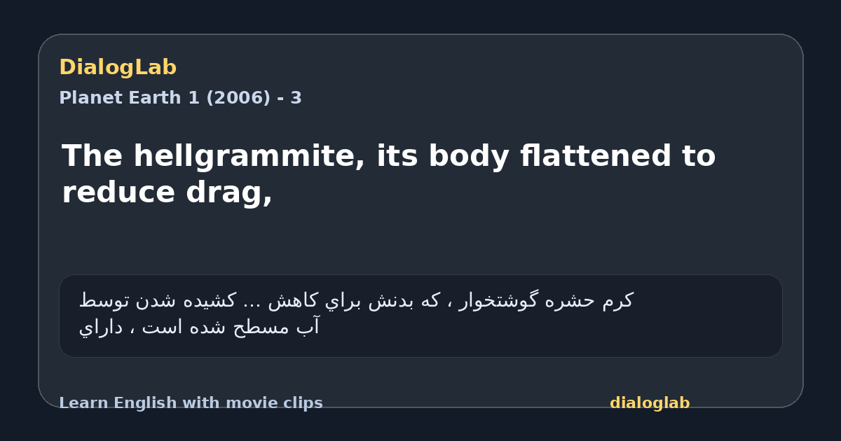 Share card for The hellgrammite, its body flattened to reduce drag,