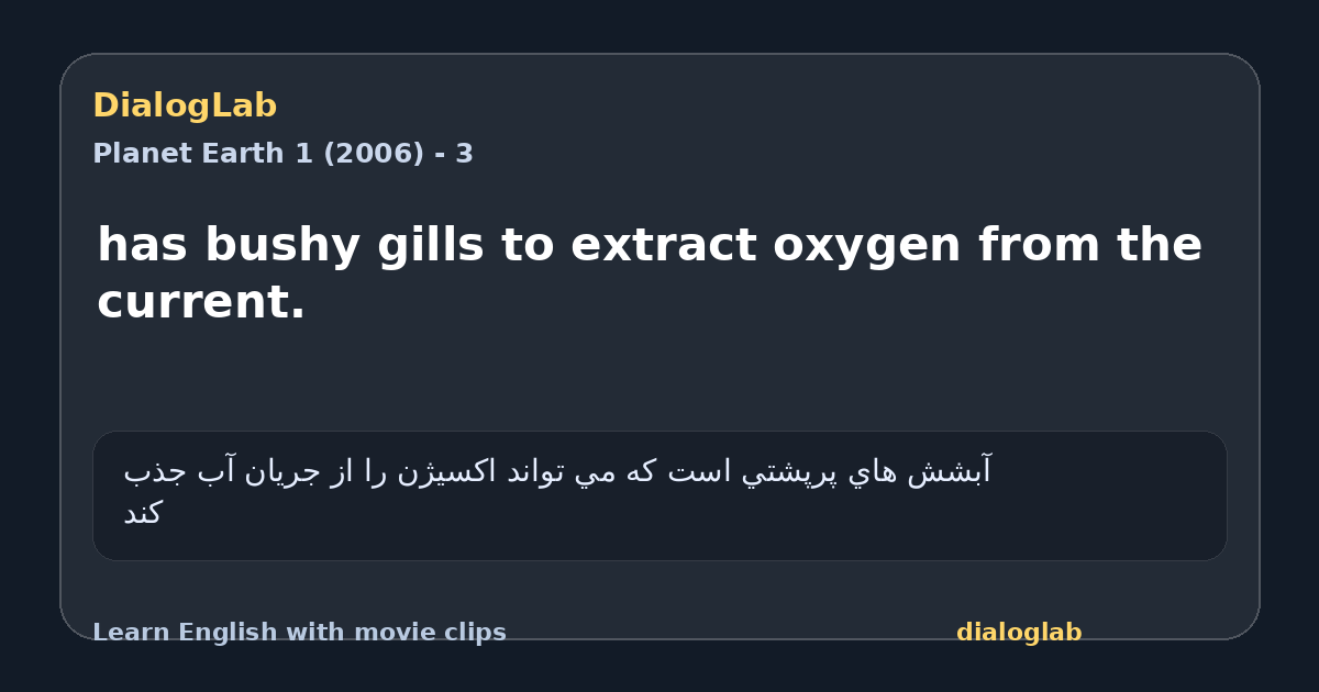 Share card for has bushy gills to extract oxygen from the current.