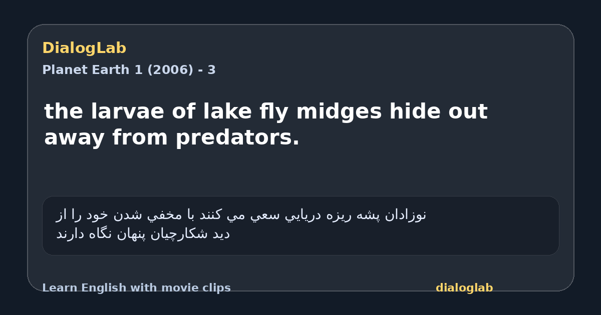 Share card for the larvae of lake fly midges hide out away from predators.