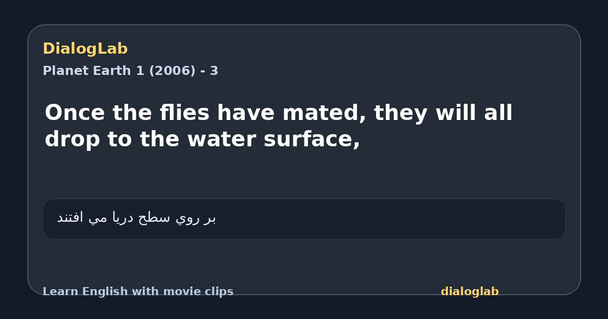 Share card for Once the flies have mated, they will all drop to the water surface,