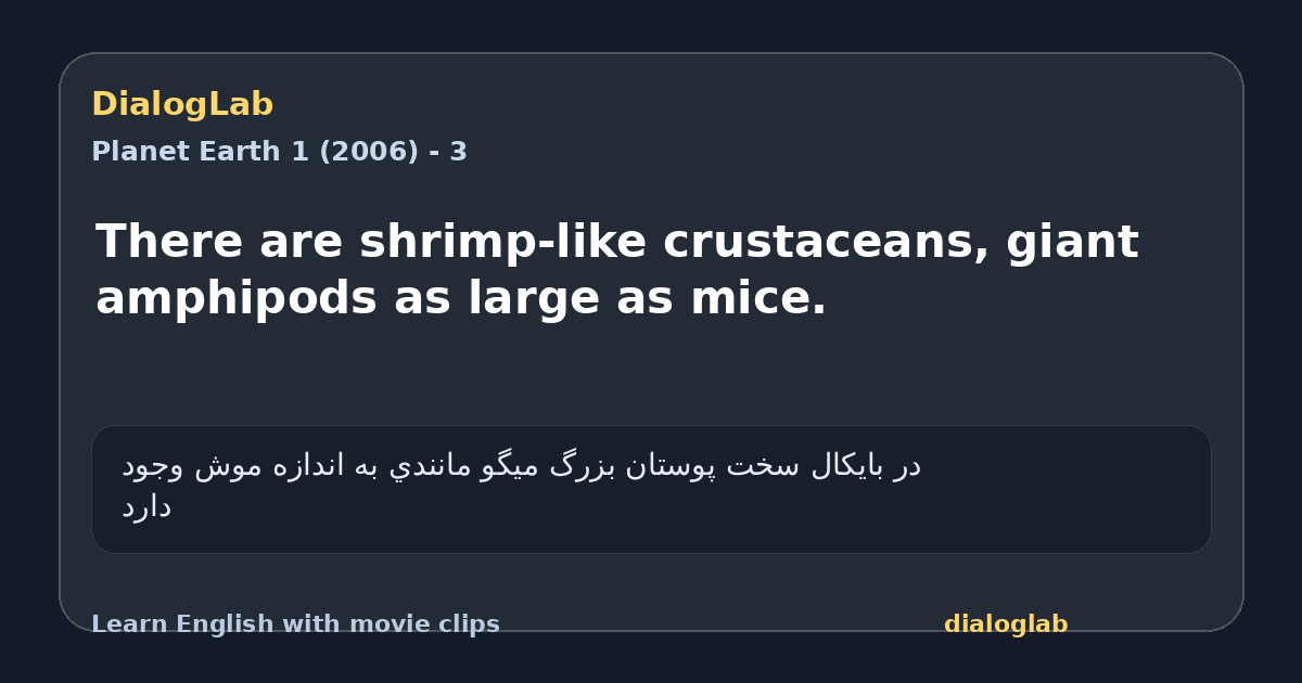 Share card for There are shrimp-like crustaceans, giant amphipods as large as mice.