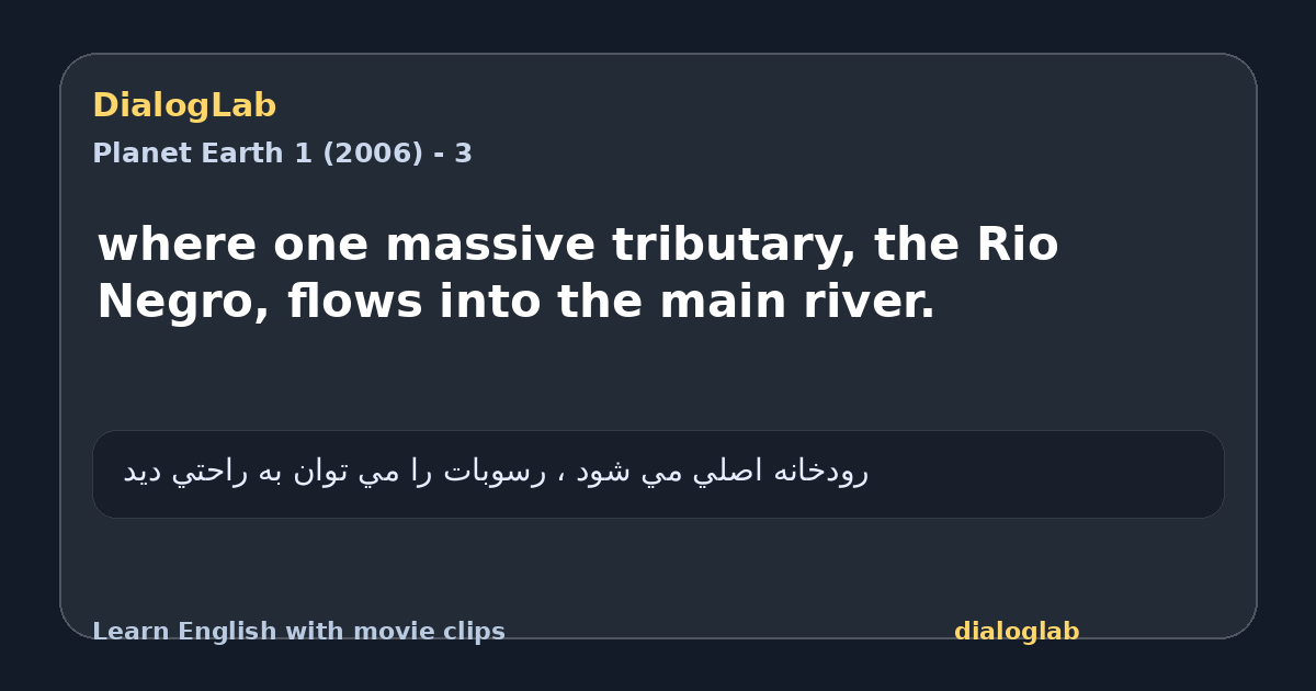 Share card for where one massive tributary, the Rio Negro, flows into the main river.