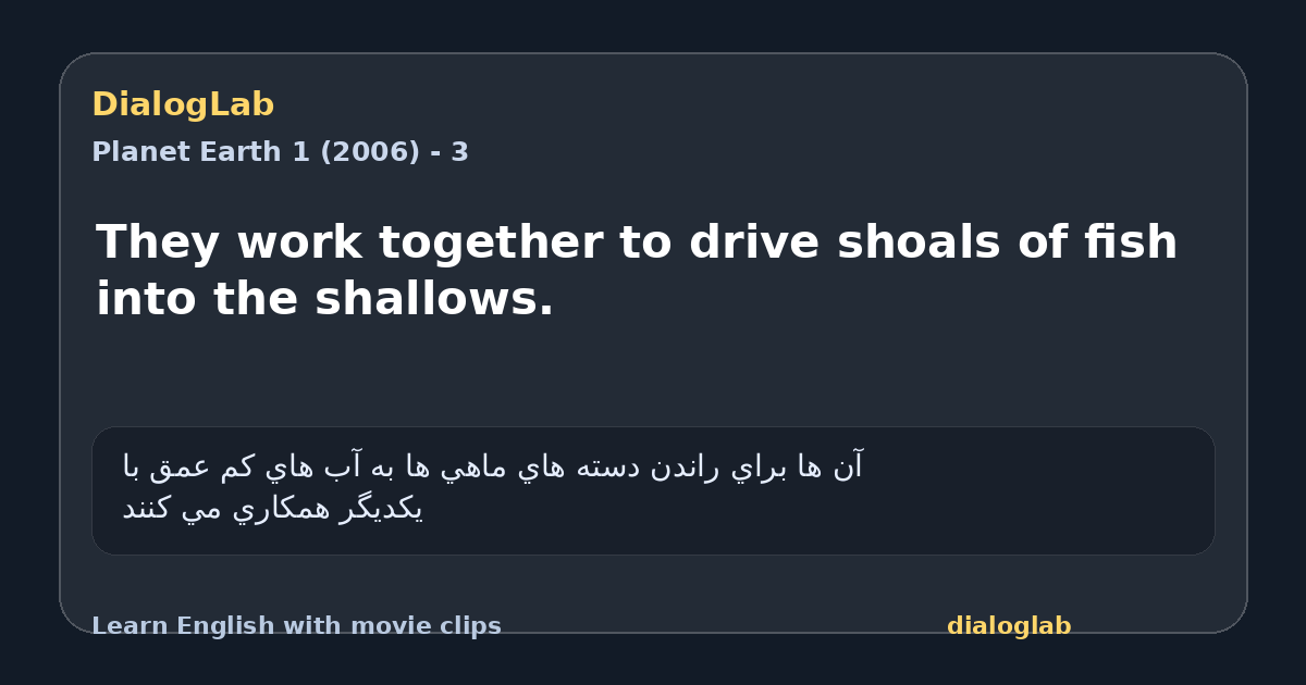 Share card for They work together to drive shoals of fish into the shallows.
