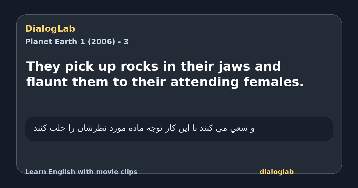 Share card for They pick up rocks in their jaws and flaunt them to their attending females.