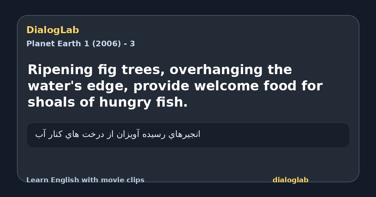 Share card for Ripening fig trees, overhanging the water's edge, provide welcome food for shoals of hungry fish.