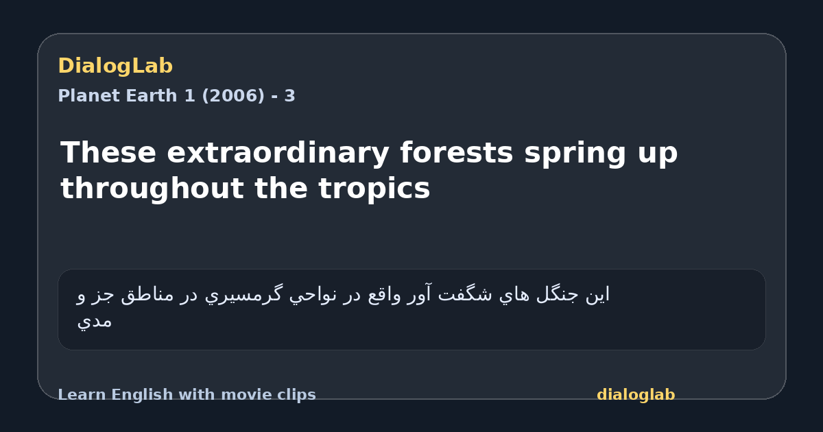 Share card for These extraordinary forests spring up throughout the tropics