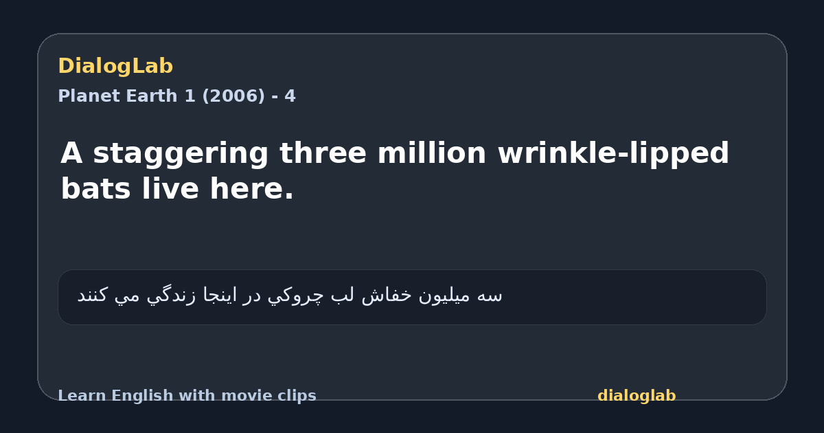Share card for A staggering three million wrinkle-lipped bats live here.