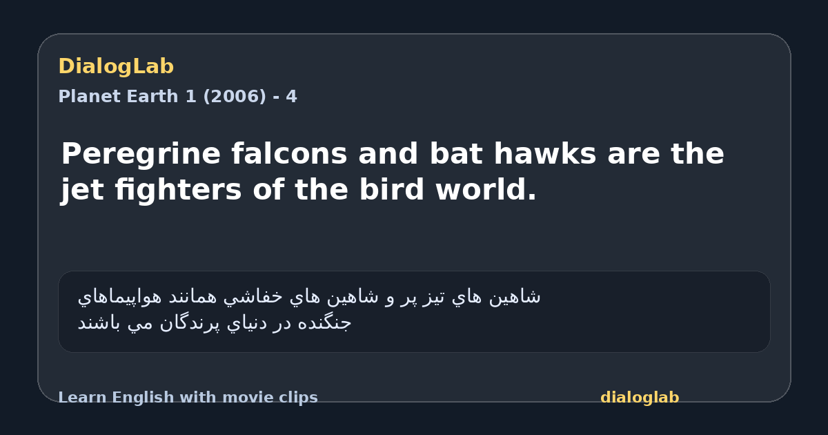Share card for Peregrine falcons and bat hawks are the jet fighters of the bird world.