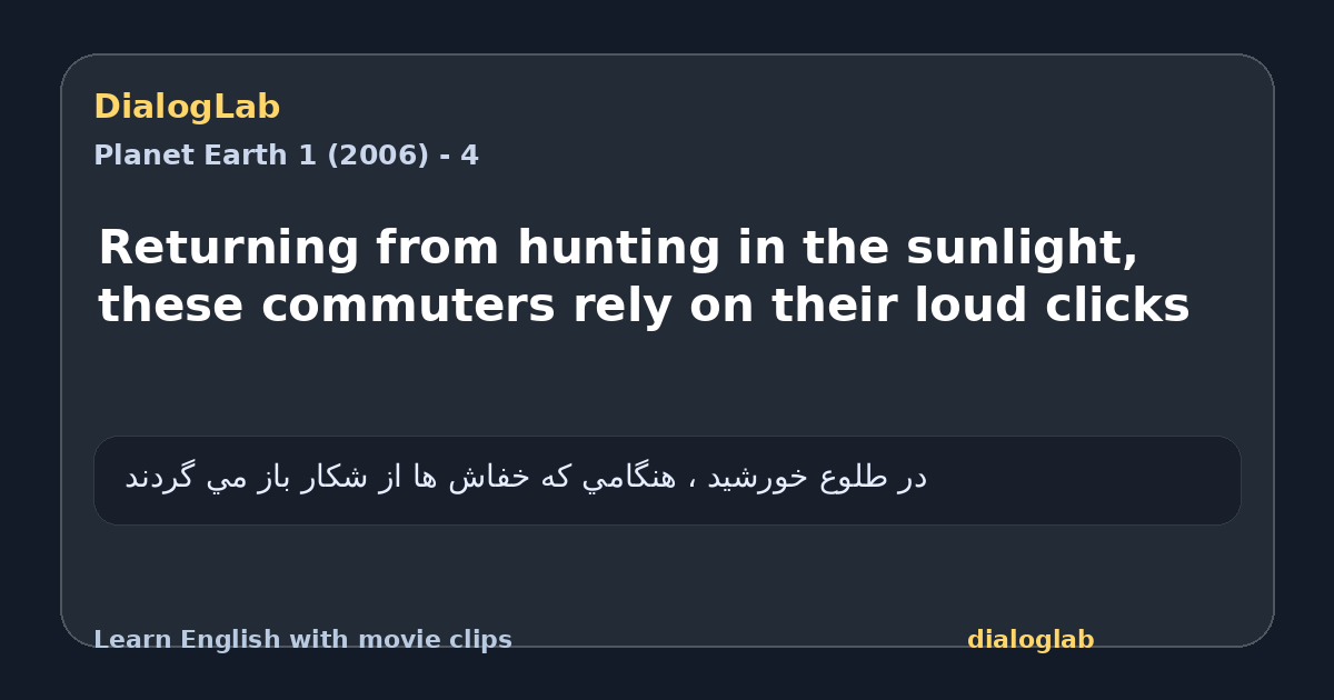 Share card for Returning from hunting in the sunlight, these commuters rely on their loud clicks
