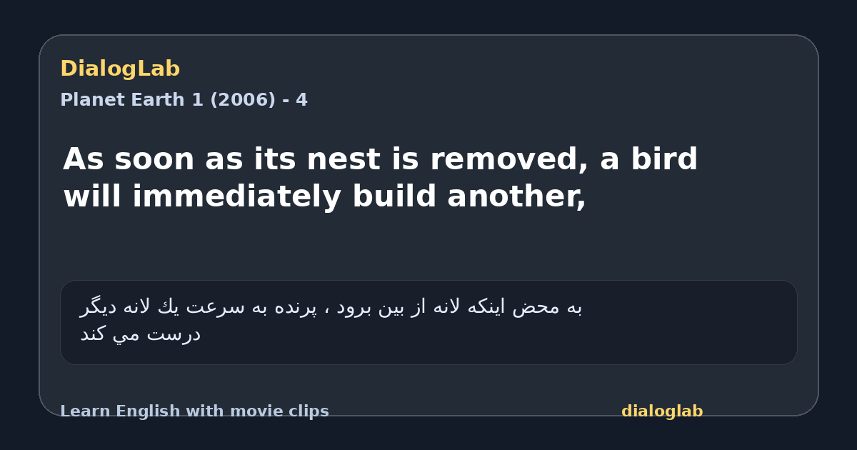 Share card for As soon as its nest is removed, a bird will immediately build another,
