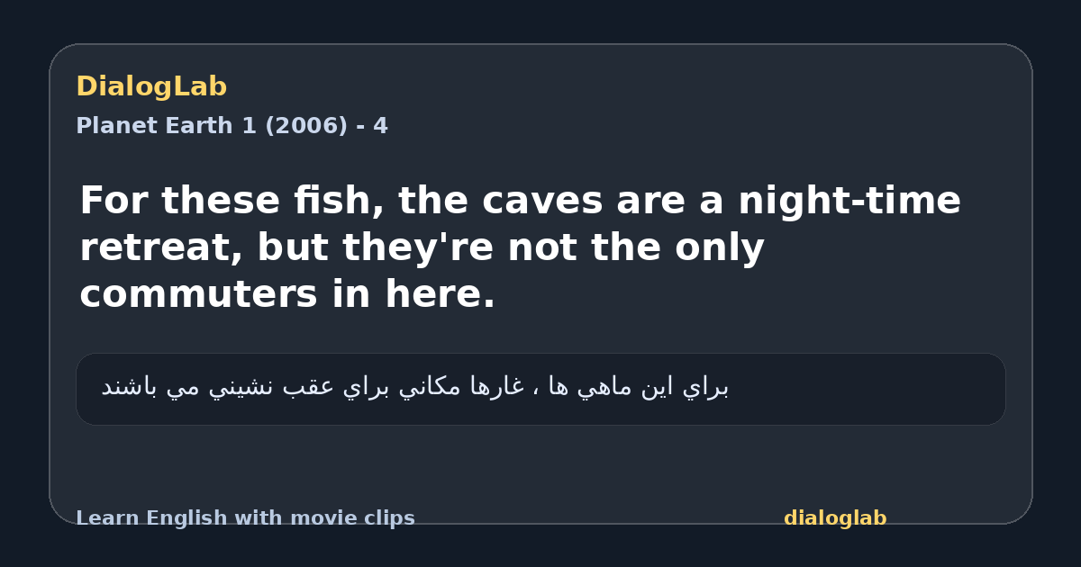 Share card for For these fish, the caves are a night-time retreat, but they're not the only commuters in here.