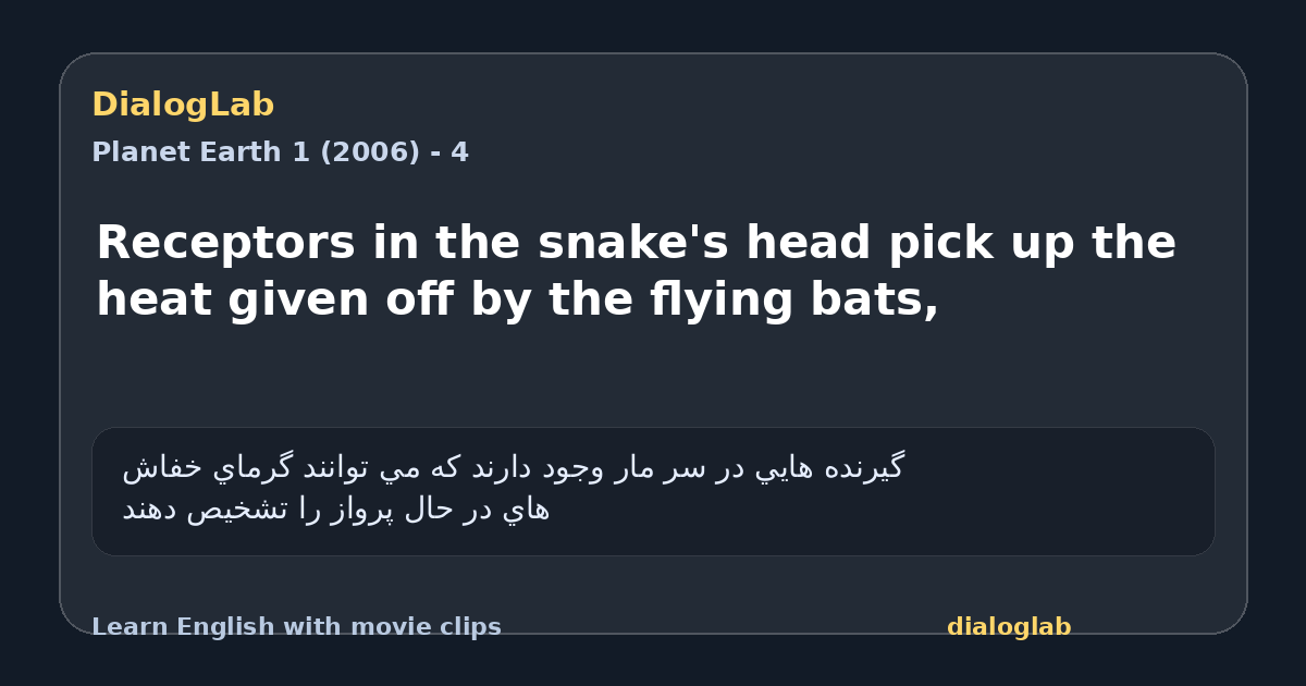 Share card for Receptors in the snake's head pick up the heat given off by the flying bats,