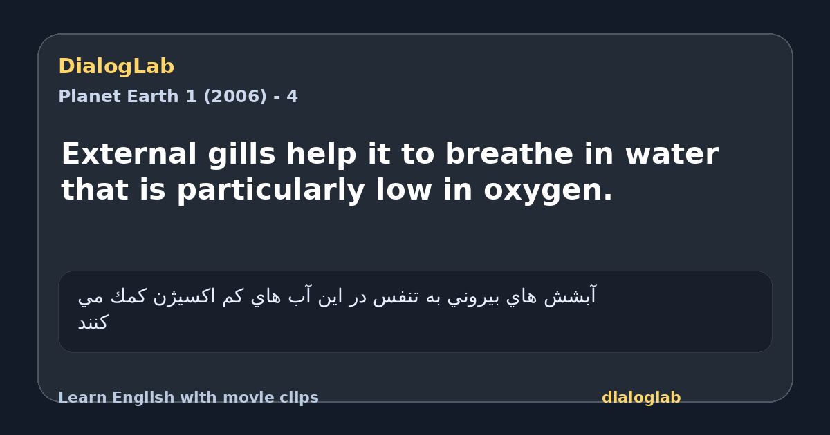 Share card for External gills help it to breathe in water that is particularly low in oxygen.