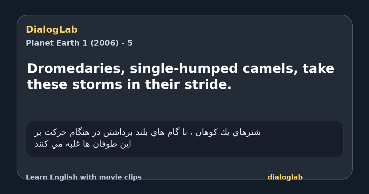 Share card for Dromedaries, single-humped camels, take these storms in their stride.