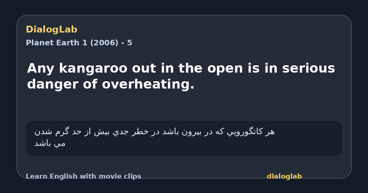 Share card for Any kangaroo out in the open is in serious danger of overheating.