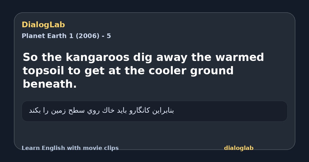 Share card for So the kangaroos dig away the warmed topsoil to get at the cooler ground beneath.