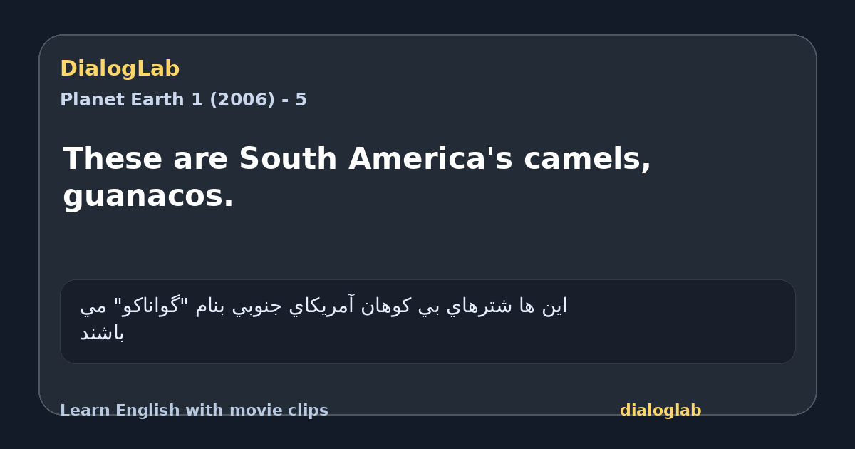 Share card for These are South America's camels, guanacos.