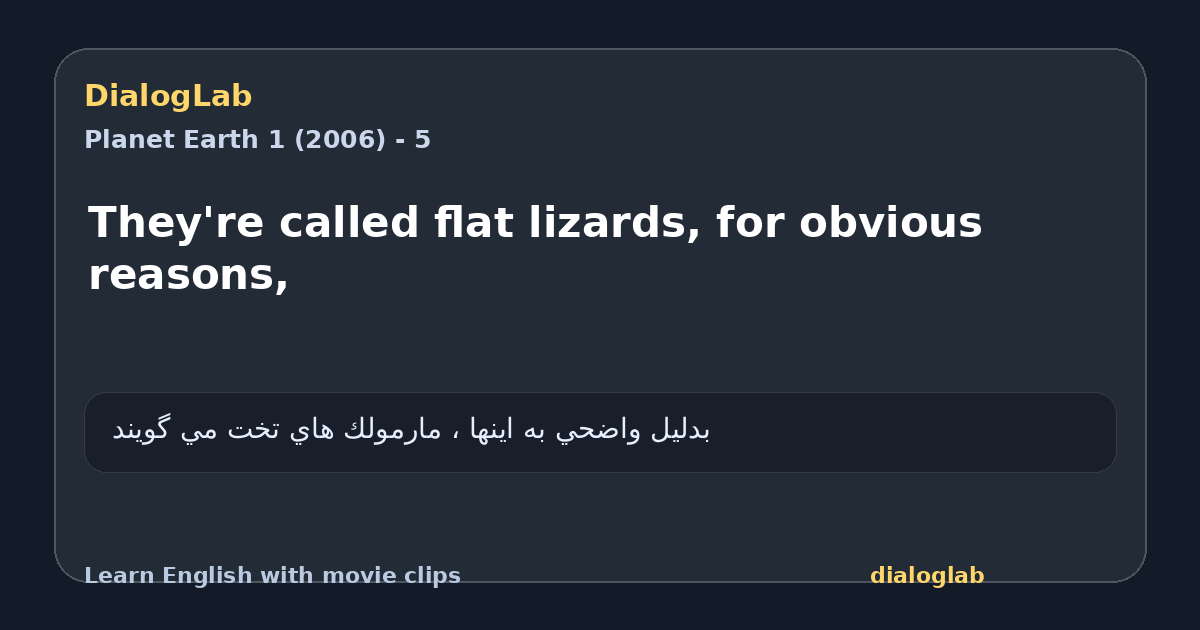 Share card for They're called flat lizards, for obvious reasons,