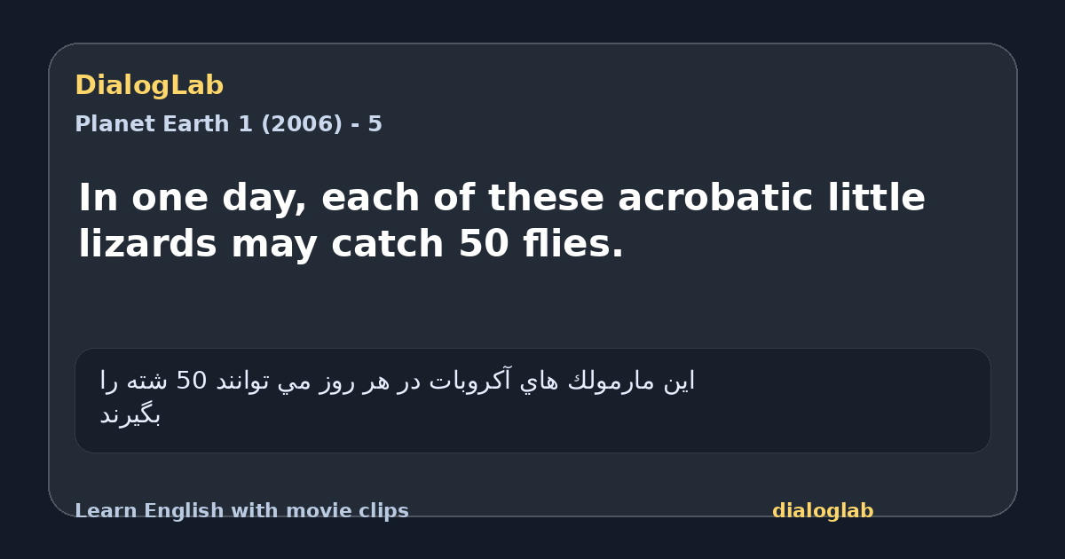 Share card for In one day, each of these acrobatic little lizards may catch 50 flies.