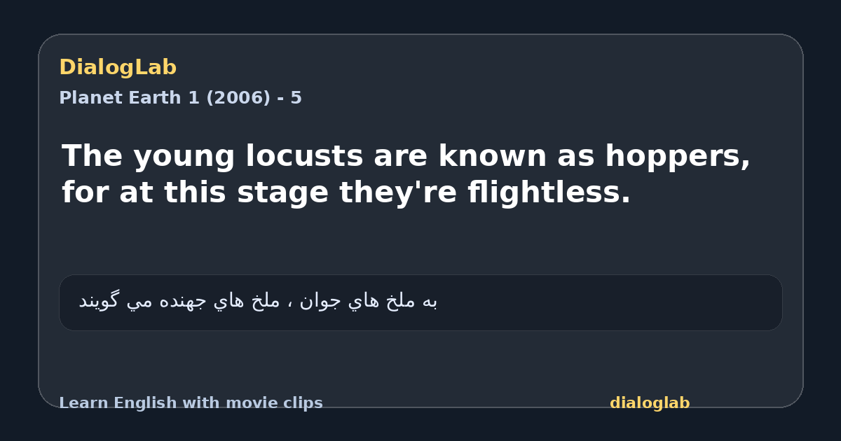 Share card for The young locusts are known as hoppers, for at this stage they're flightless.