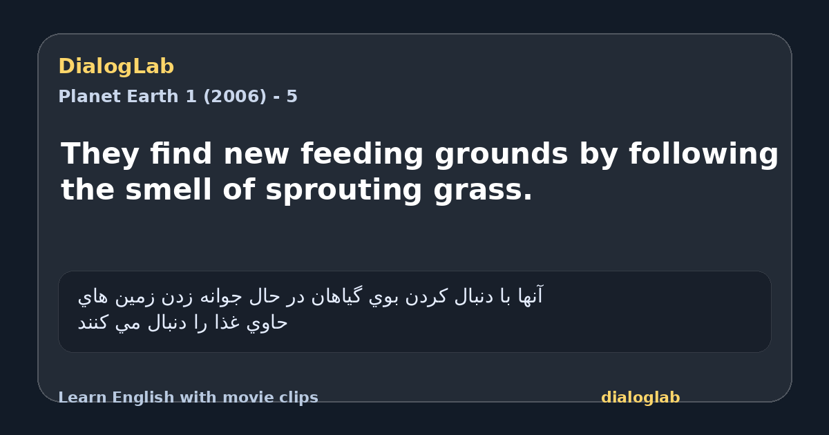 Share card for They find new feeding grounds by following the smell of sprouting grass.