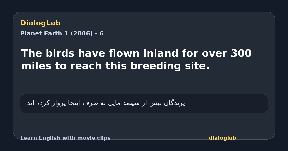Share card for The birds have flown inland for over 300 miles to reach this breeding site.