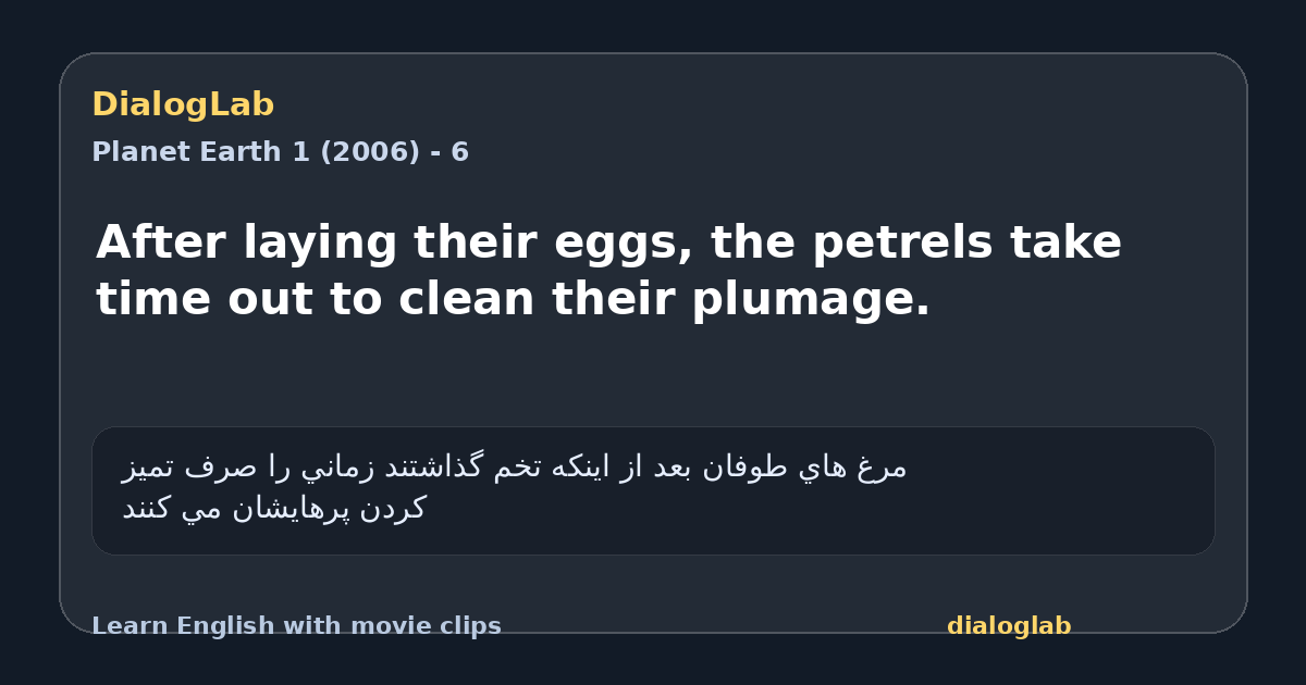 Share card for After laying their eggs, the petrels take time out to clean their plumage.