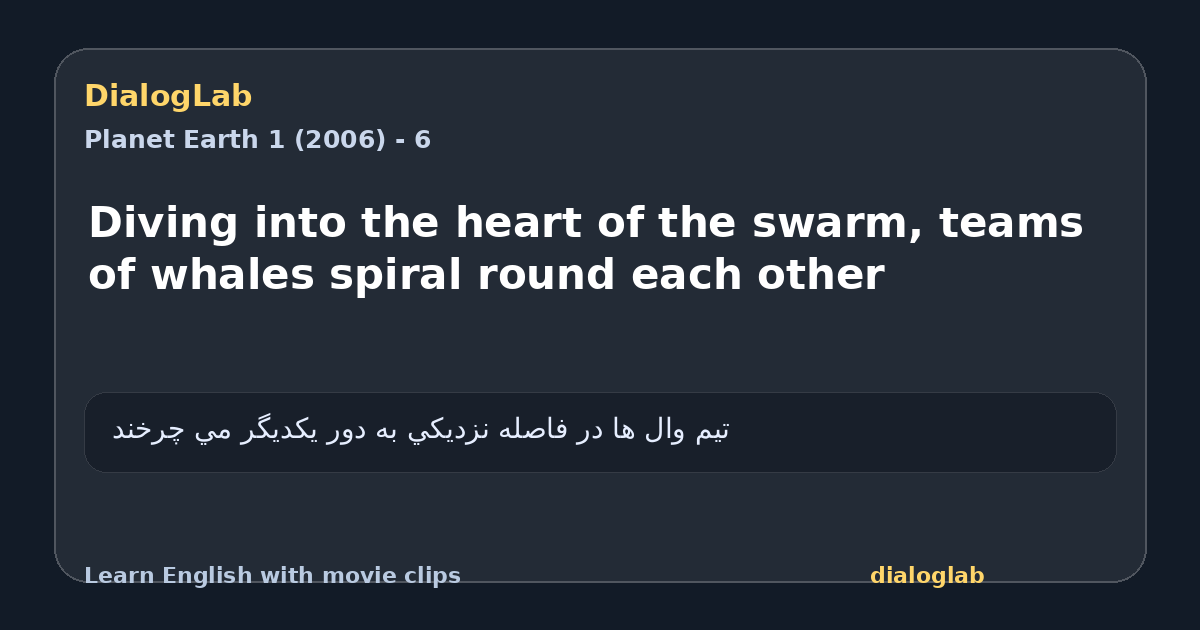 Share card for Diving into the heart of the swarm, teams of whales spiral round each other