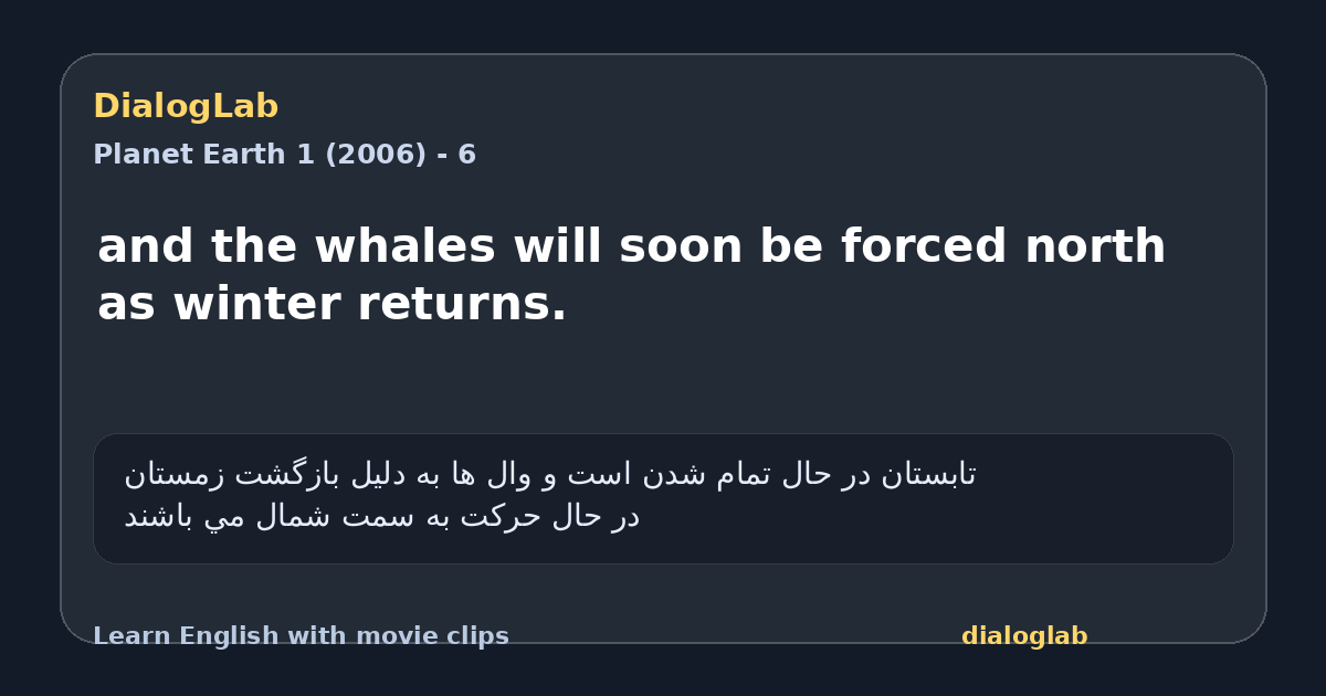Share card for and the whales will soon be forced north as winter returns.