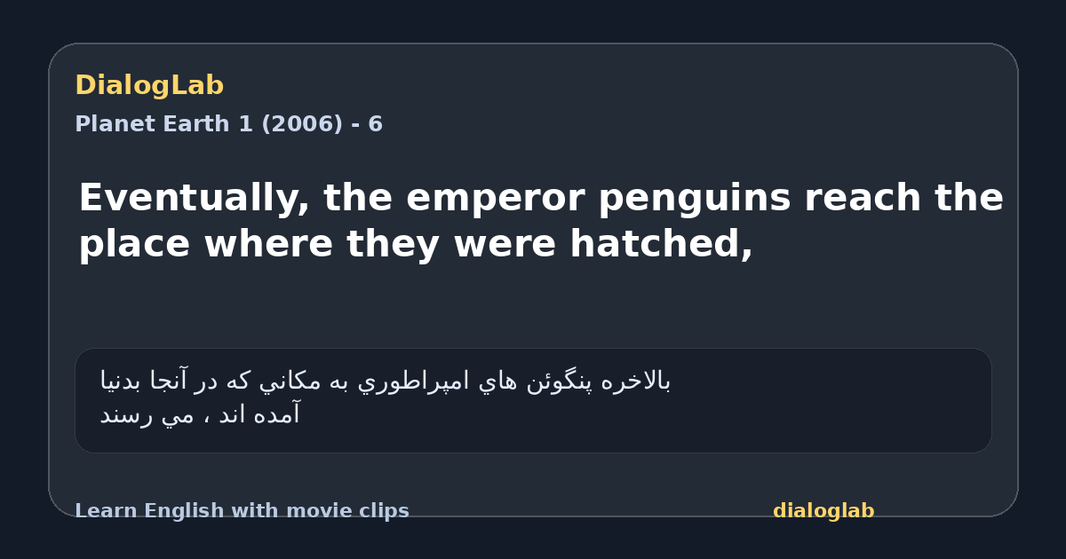 Share card for Eventually, the emperor penguins reach the place where they were hatched,