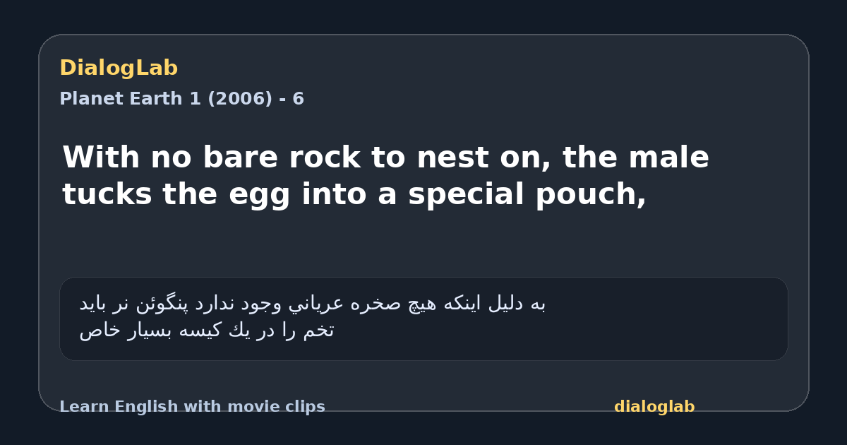 Share card for With no bare rock to nest on, the male tucks the egg into a special pouch,