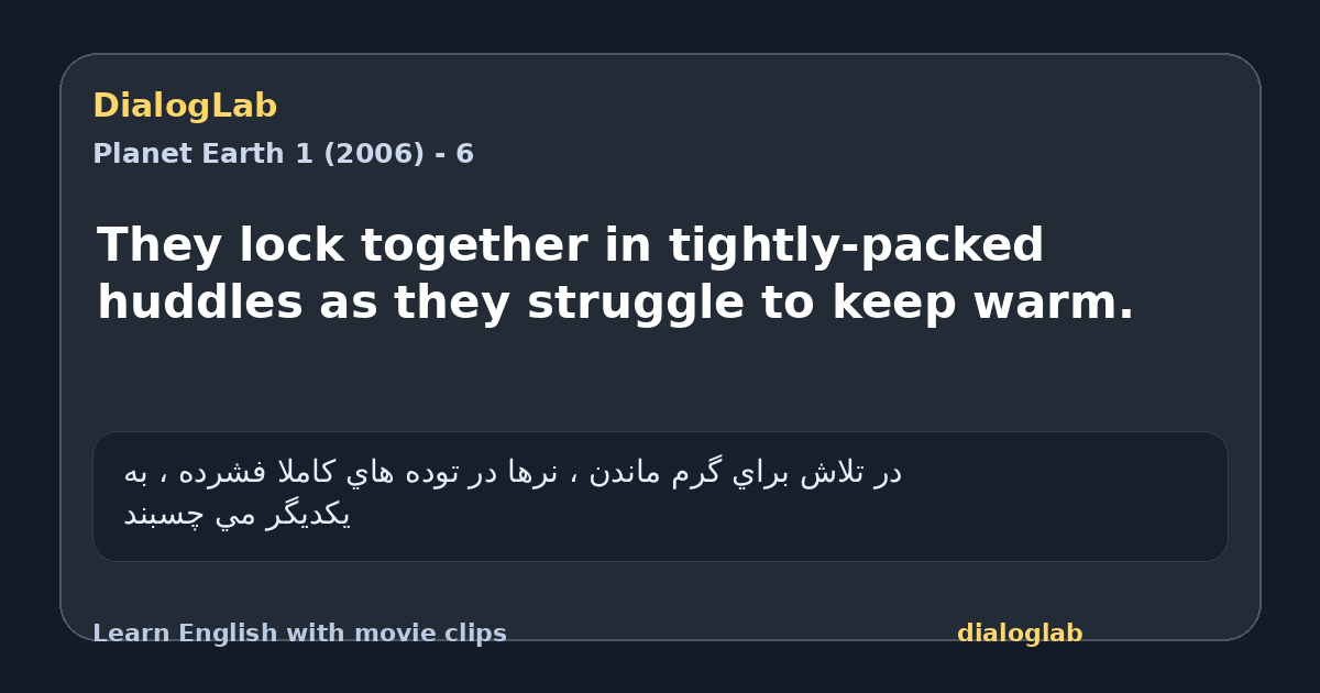 Share card for They lock together in tightly-packed huddles as they struggle to keep warm.