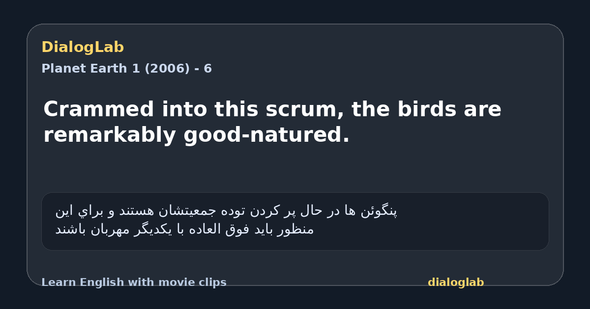 Share card for Crammed into this scrum, the birds are remarkably good-natured.