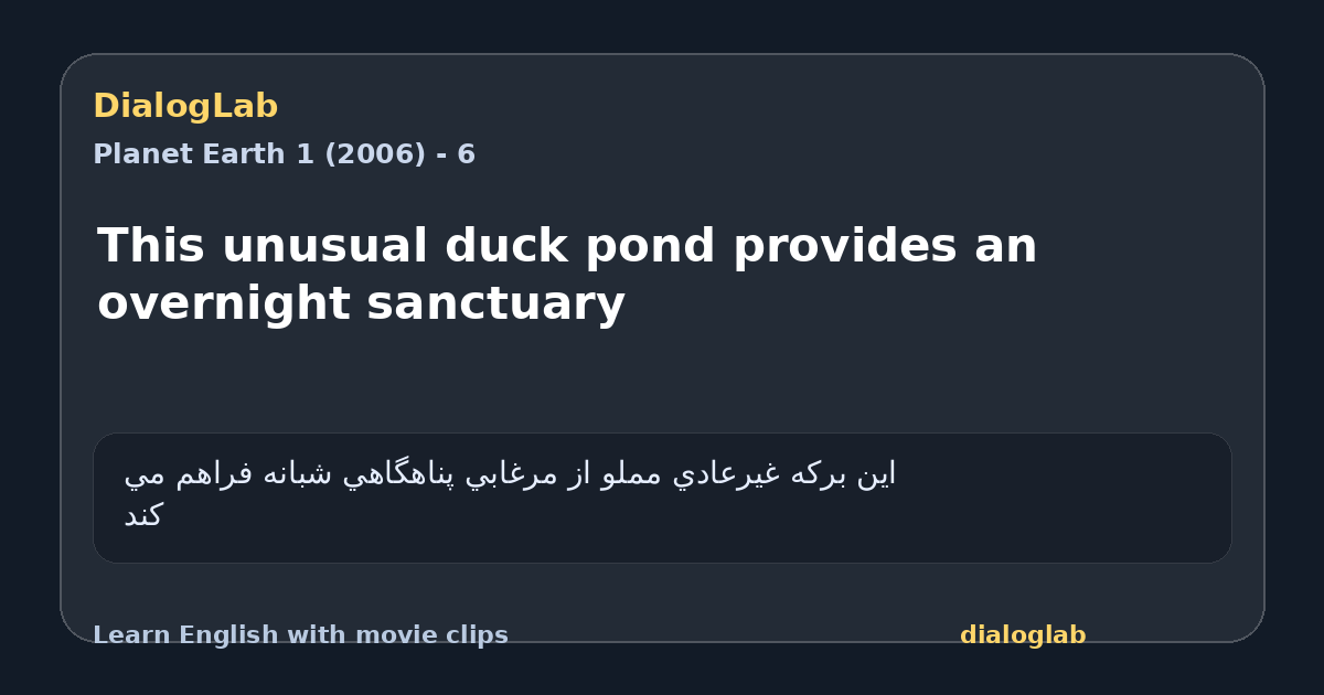 Share card for This unusual duck pond provides an overnight sanctuary