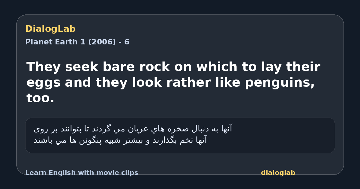 Share card for They seek bare rock on which to lay their eggs and they look rather like penguins, too.