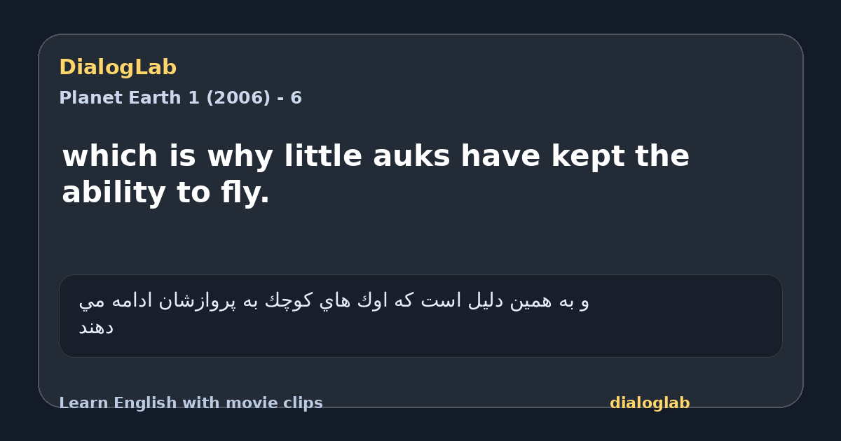 Share card for which is why little auks have kept the ability to fly.