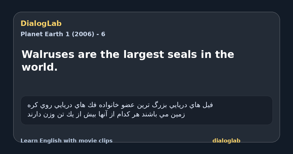 Share card for Walruses are the largest seals in the world.