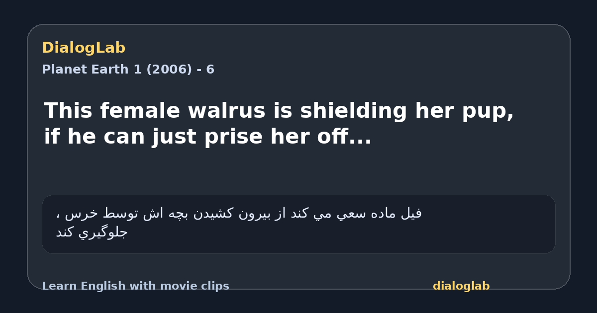 Share card for This female walrus is shielding her pup, if he can just prise her off...